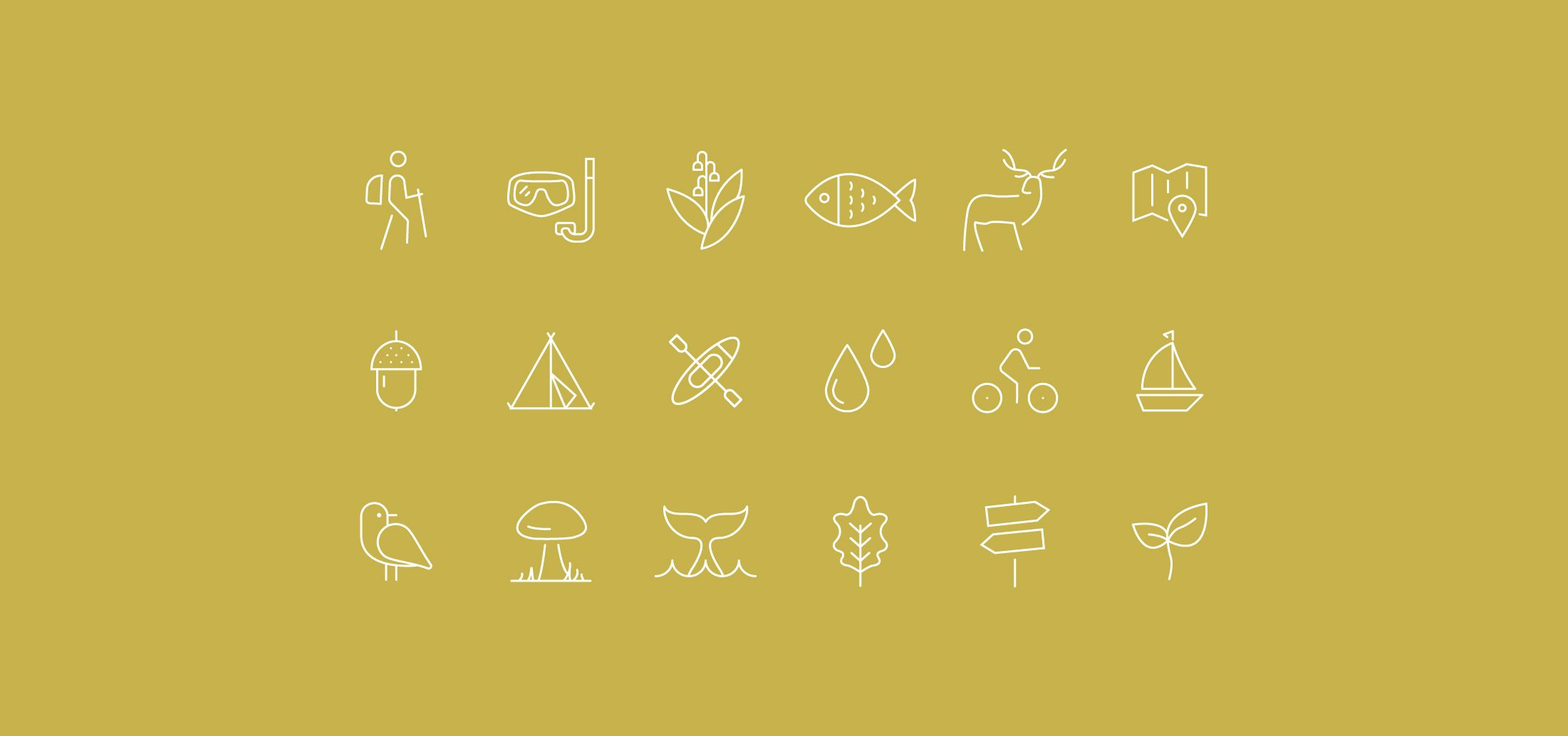 brnding icons nonprofit