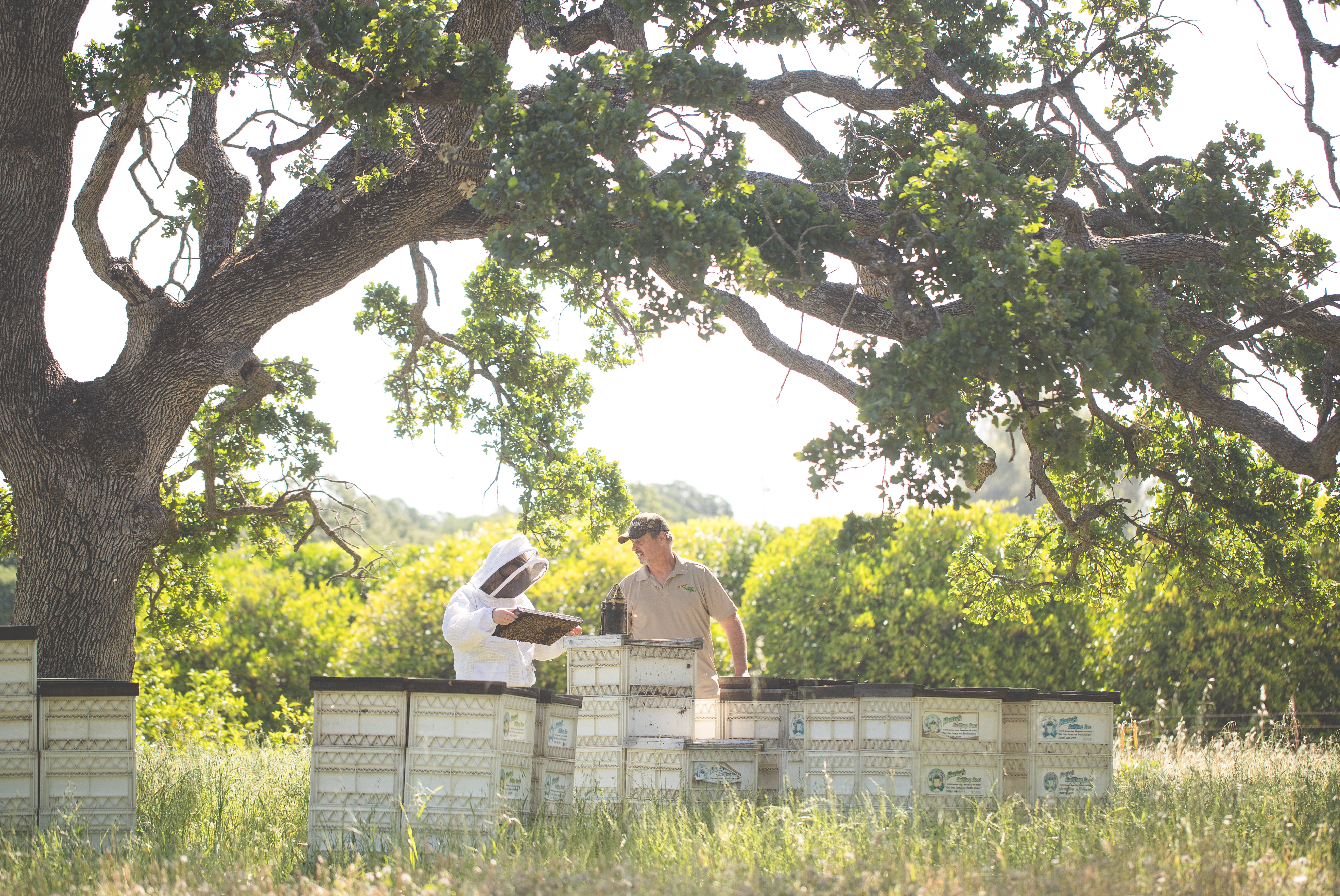 scribe sacramento creative agency portfolio