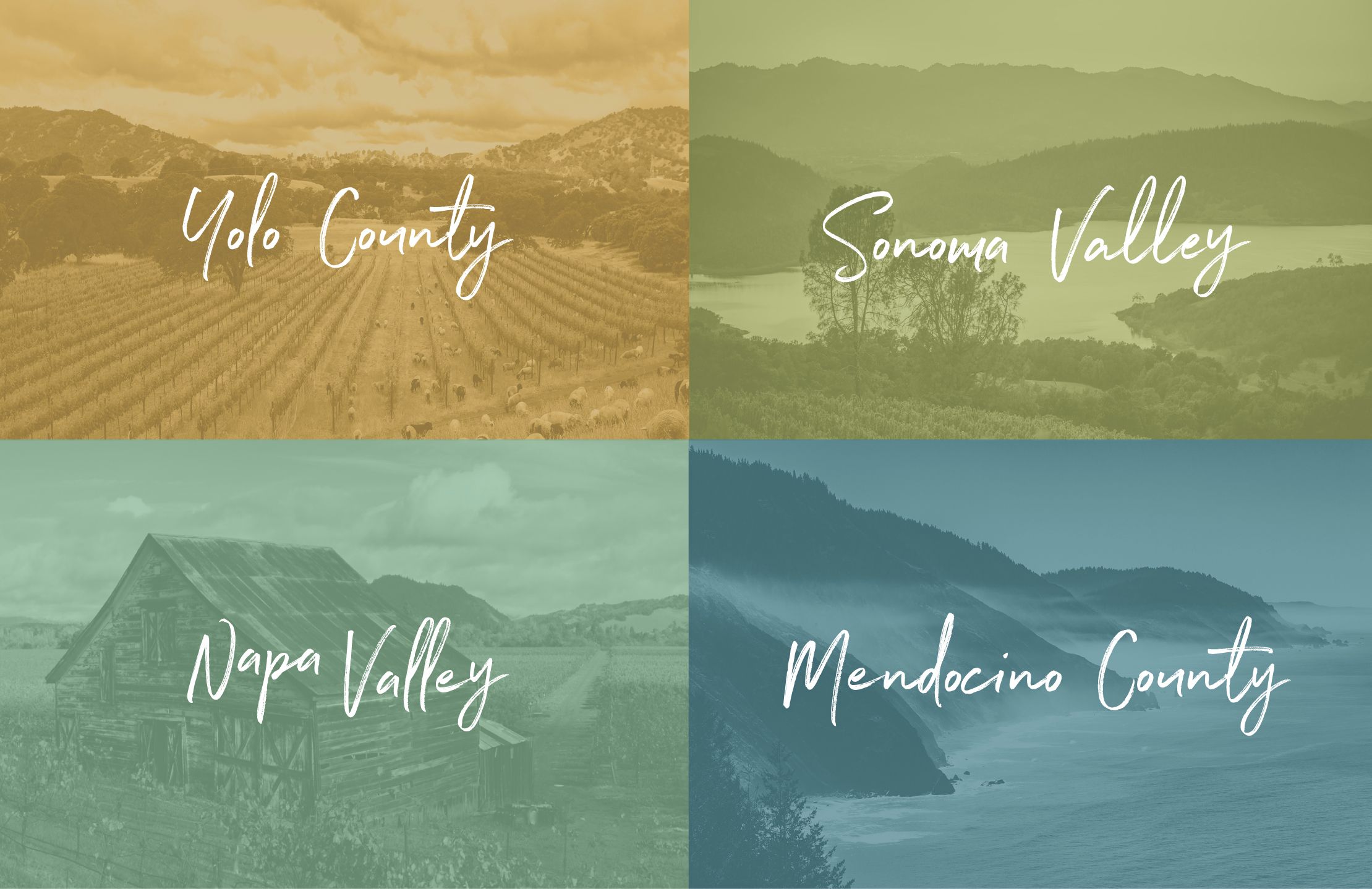 logo branding identity tourism sacramento photography professional tourism yolo napa sonoma menodcino county
