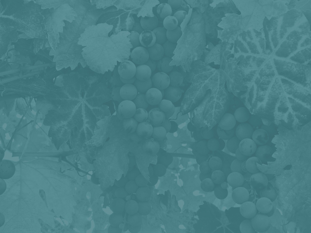 Sacramento design agency blog preview image