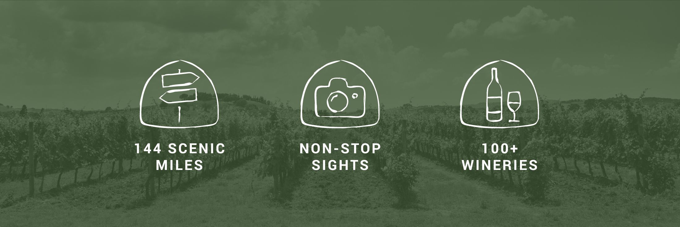 logo branding identity tourism sacramento photography professional tourism yolo napa sonoma menodcino county