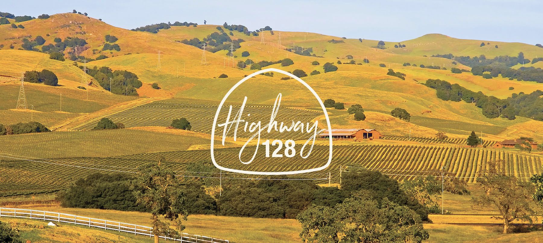 logo branding identity tourism sacramento photography professional tourism yolo napa sonoma menodcino county