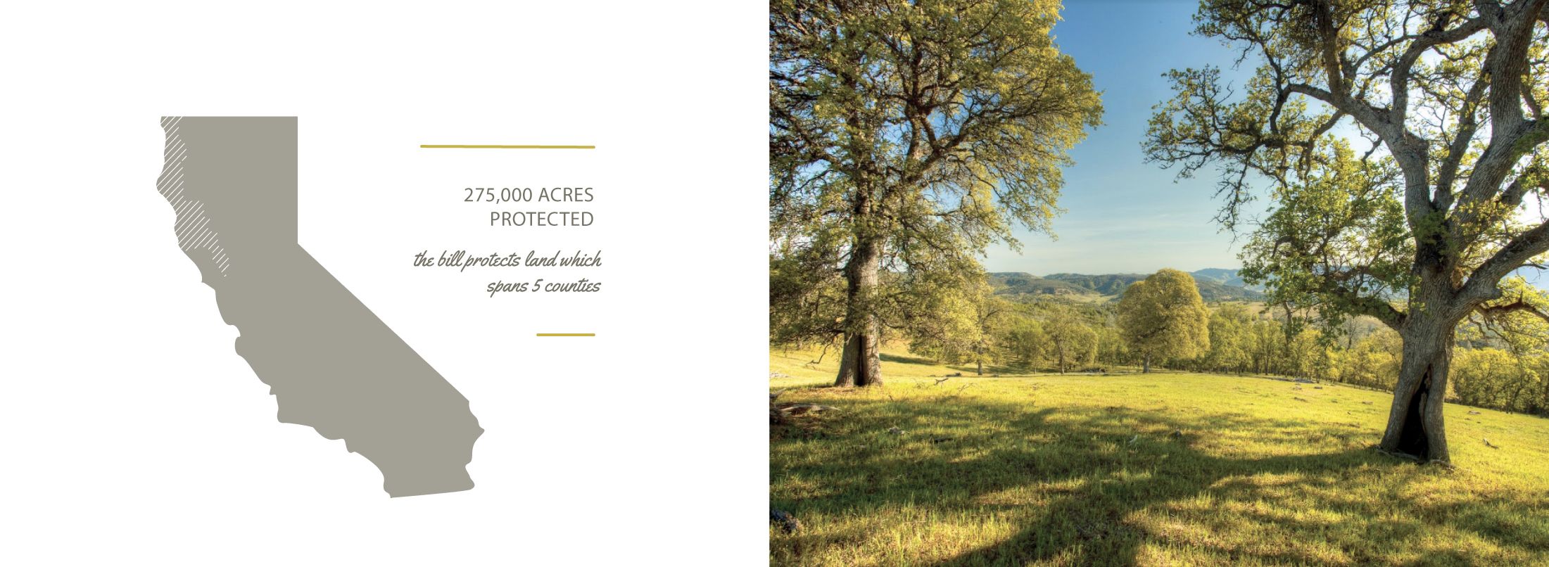 non profit custom design