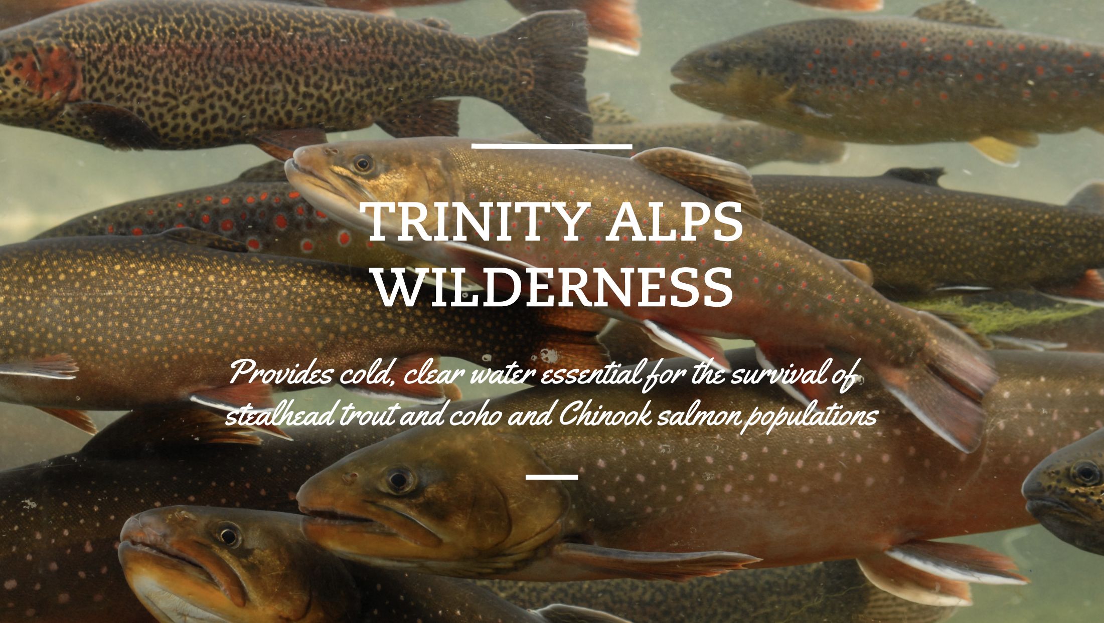 online social media marketing for non profit