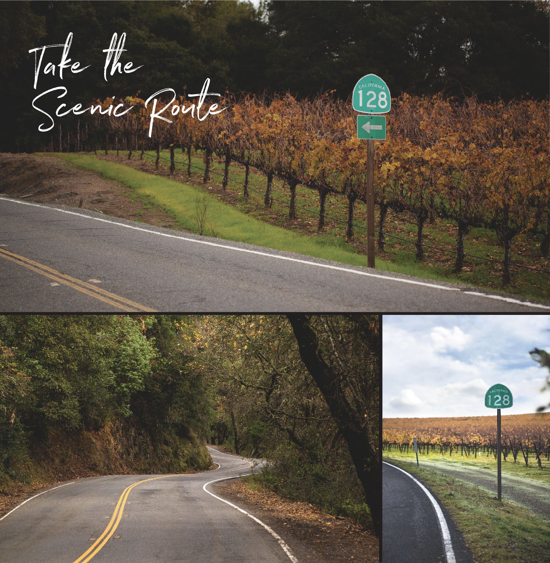 logo branding identity tourism sacramento photography professional tourism yolo napa sonoma menodcino county