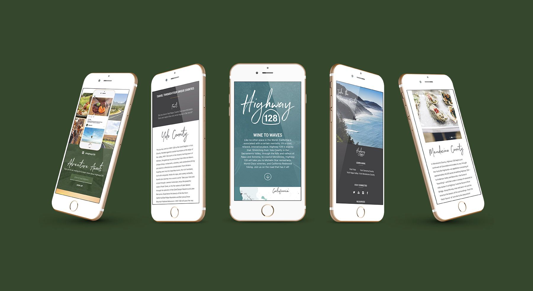 logo branding identity tourism sacramento photography professional tourism yolo napa sonoma menodcino county