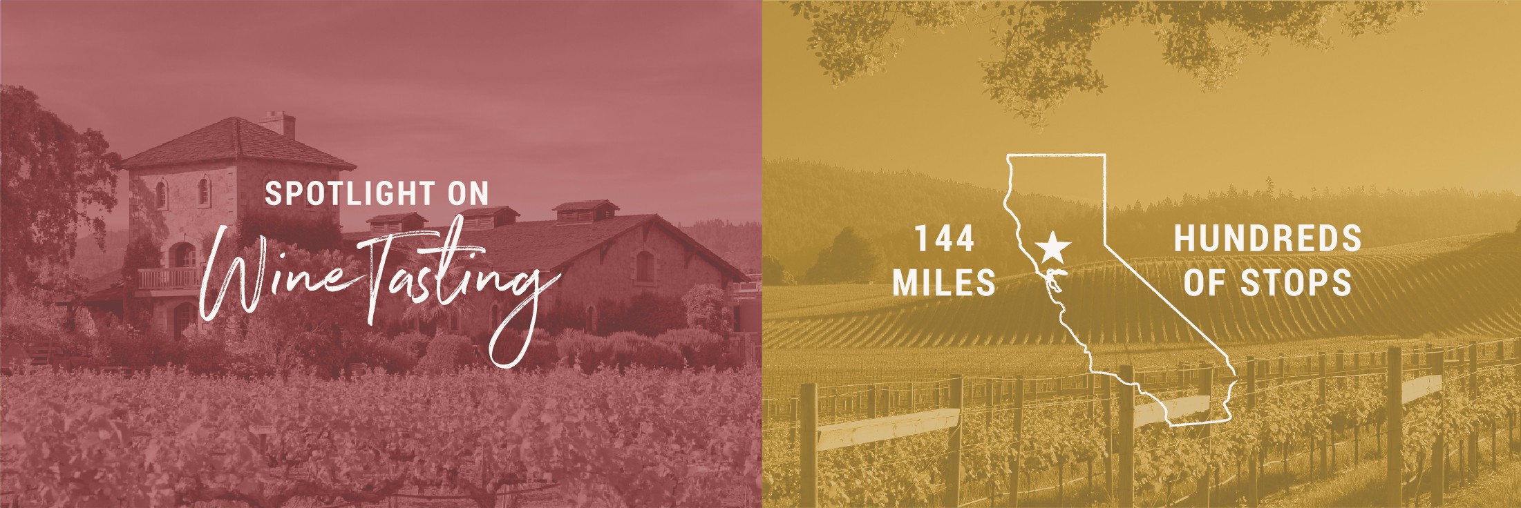 logo branding identity tourism sacramento photography professional tourism yolo napa sonoma menodcino county