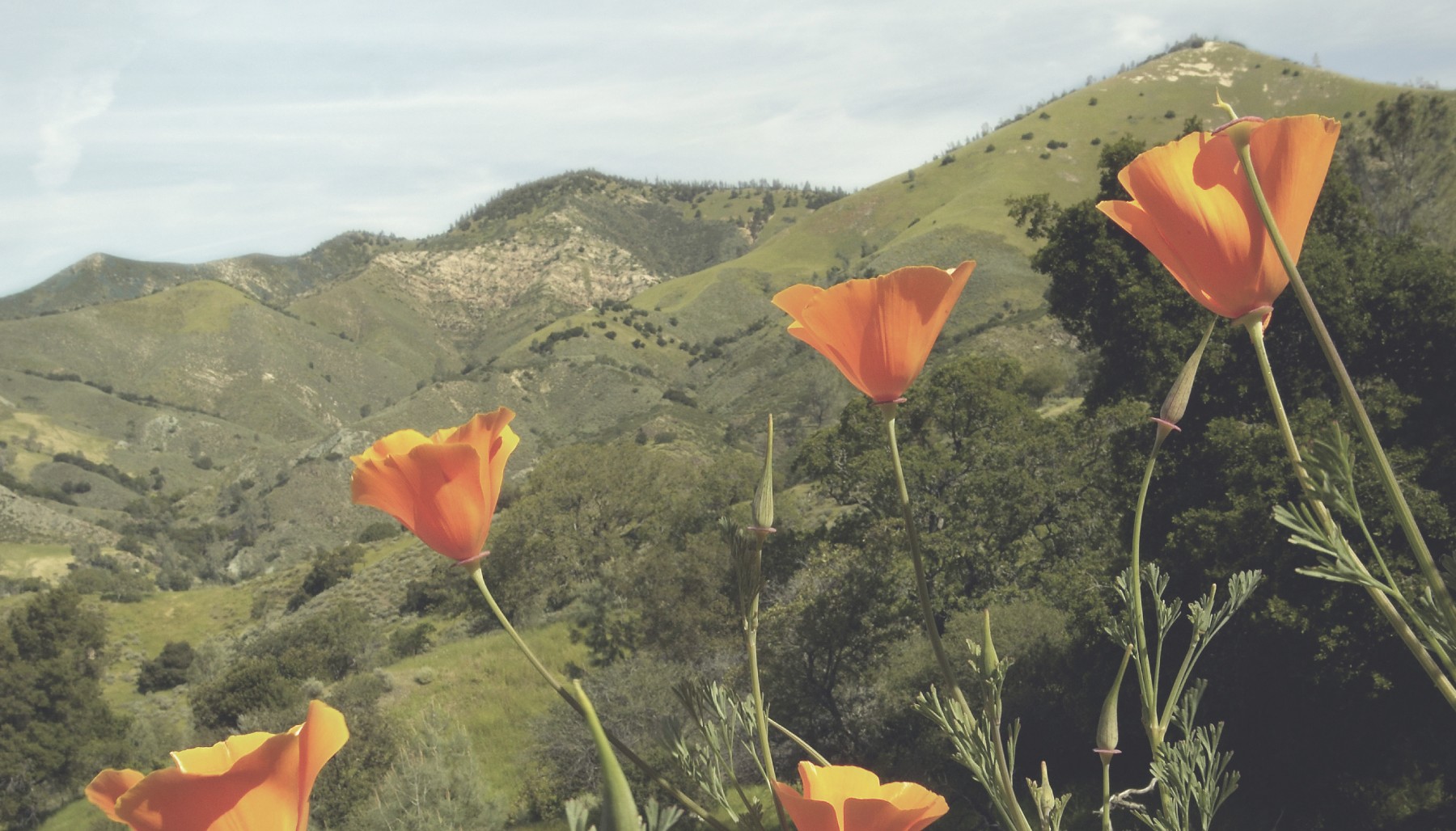 Sacramento design agency blog preview image