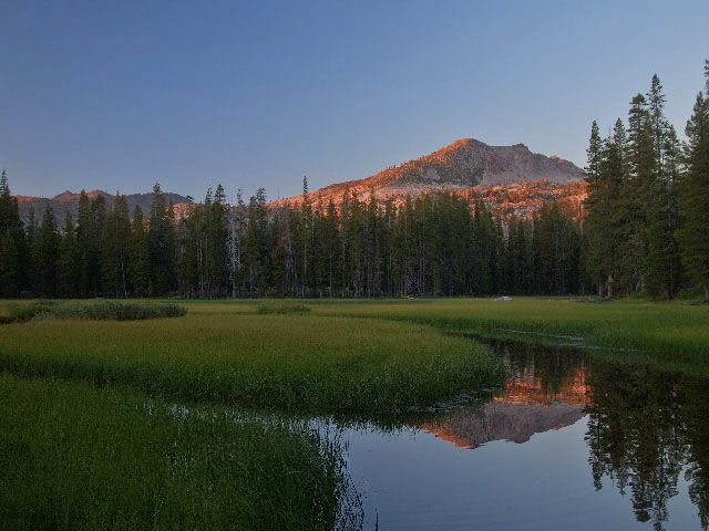 non profit wilderness act design by scribe